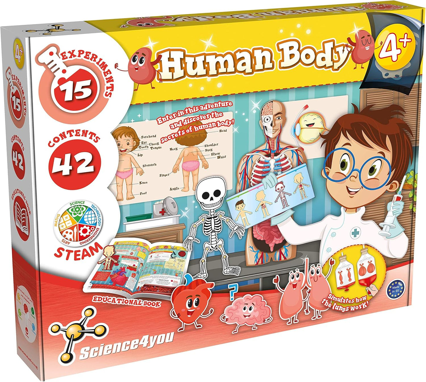 Human Body Science Set