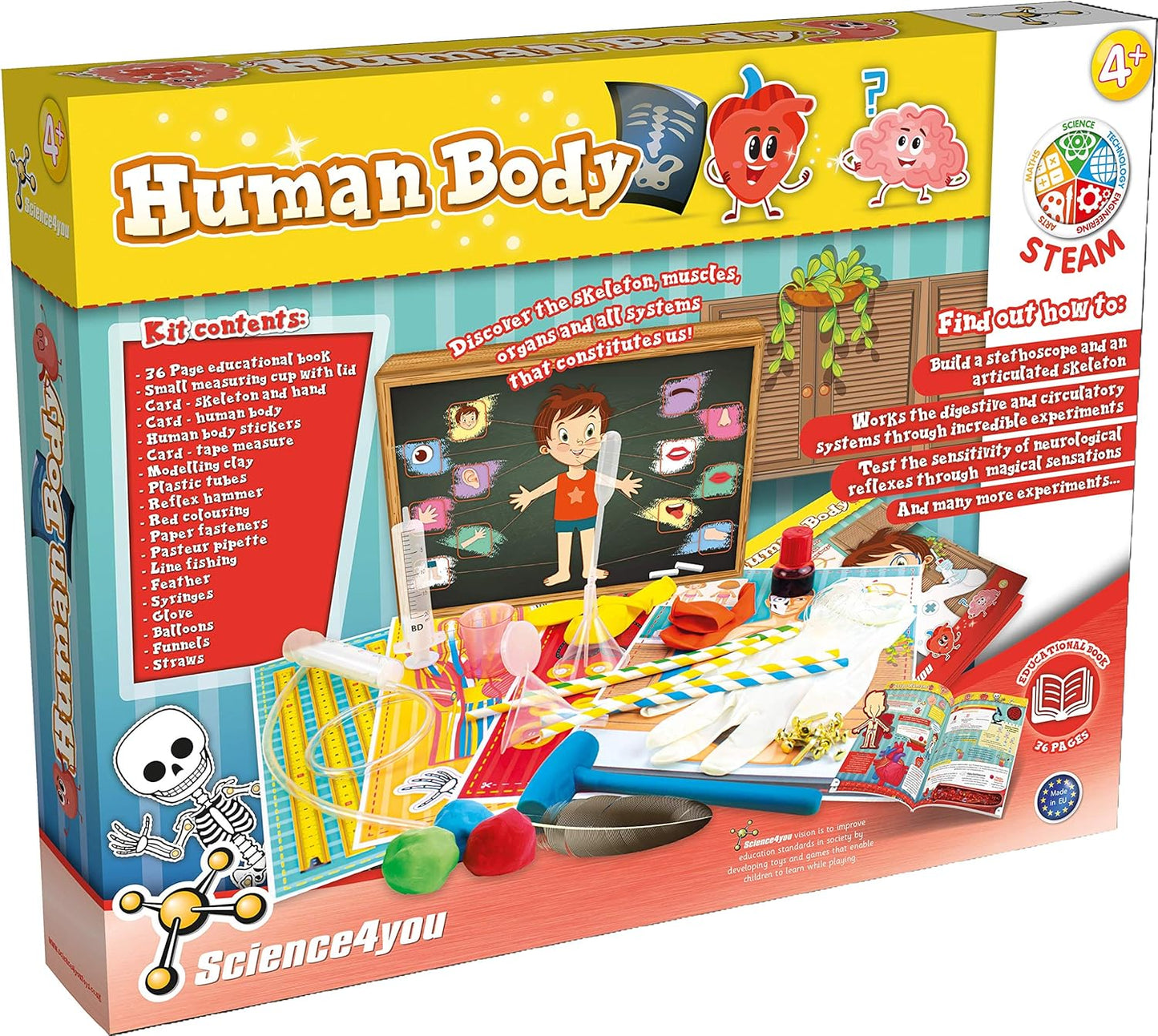 Human Body Science Set