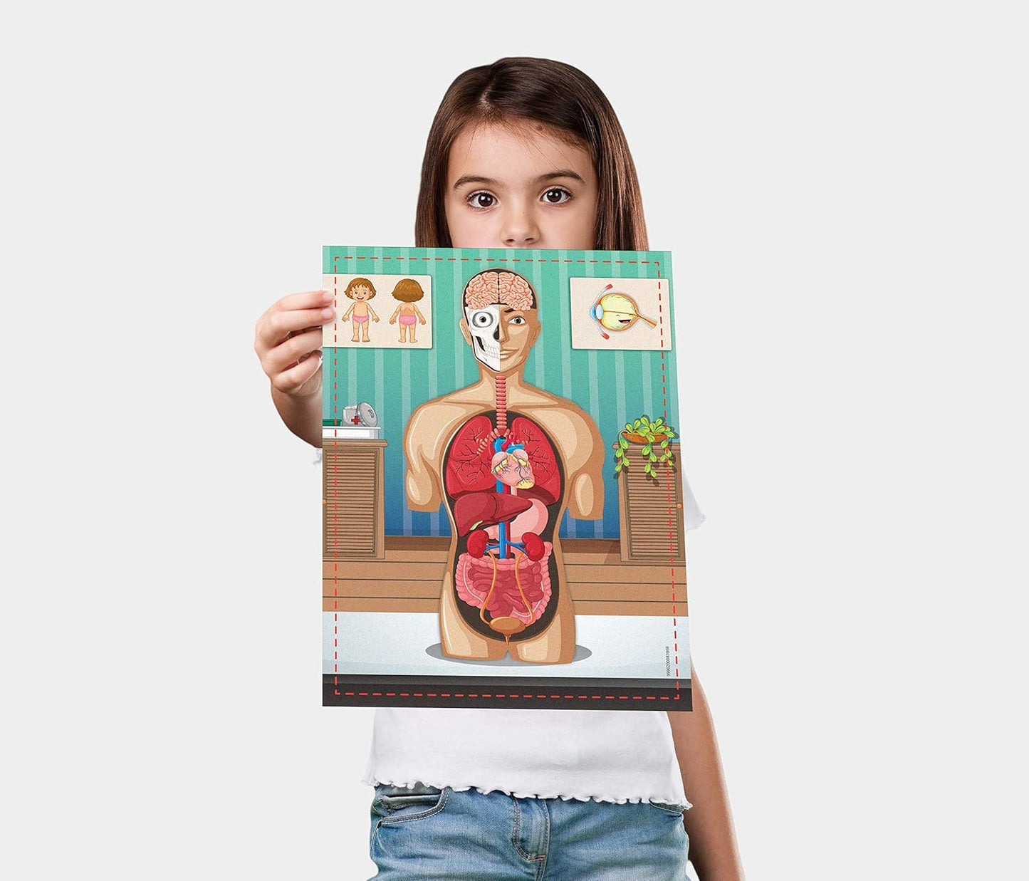 Human Body Science Set